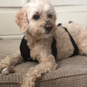 Meet your Posher, Denise